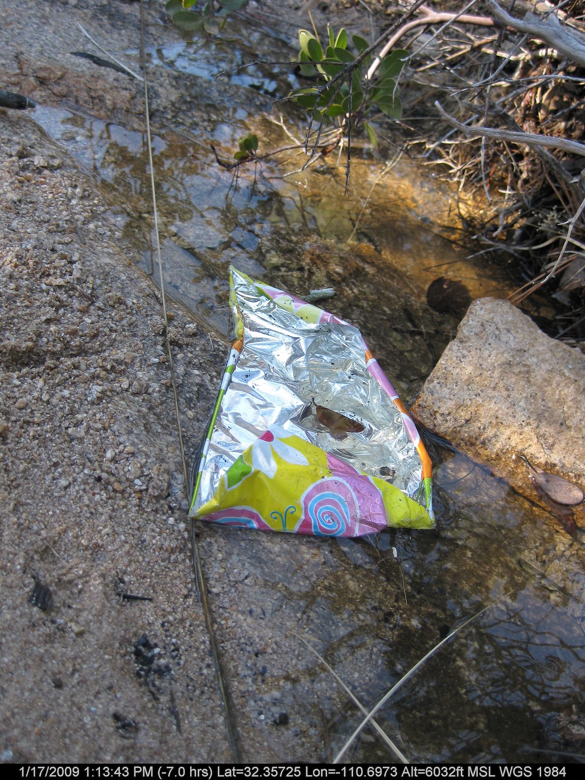 2009 January Balloon Litter