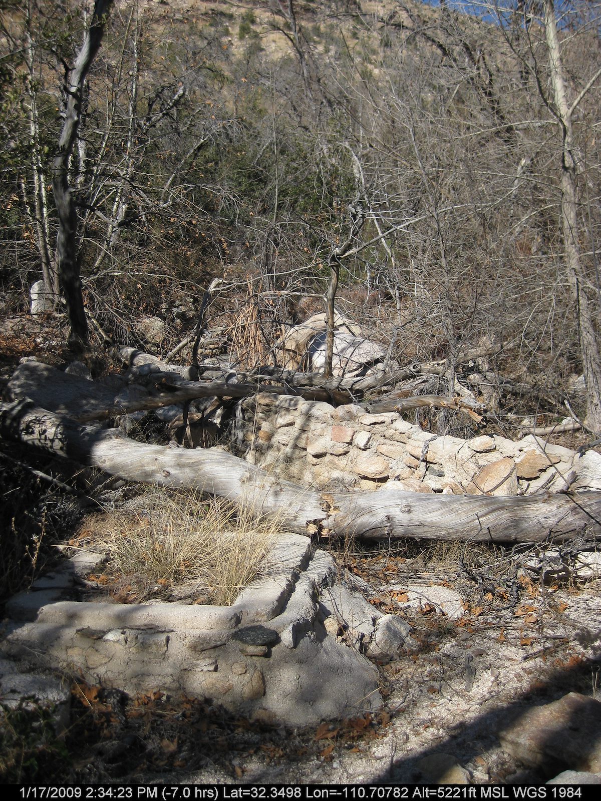 2009 January Bug Spring Old Construction