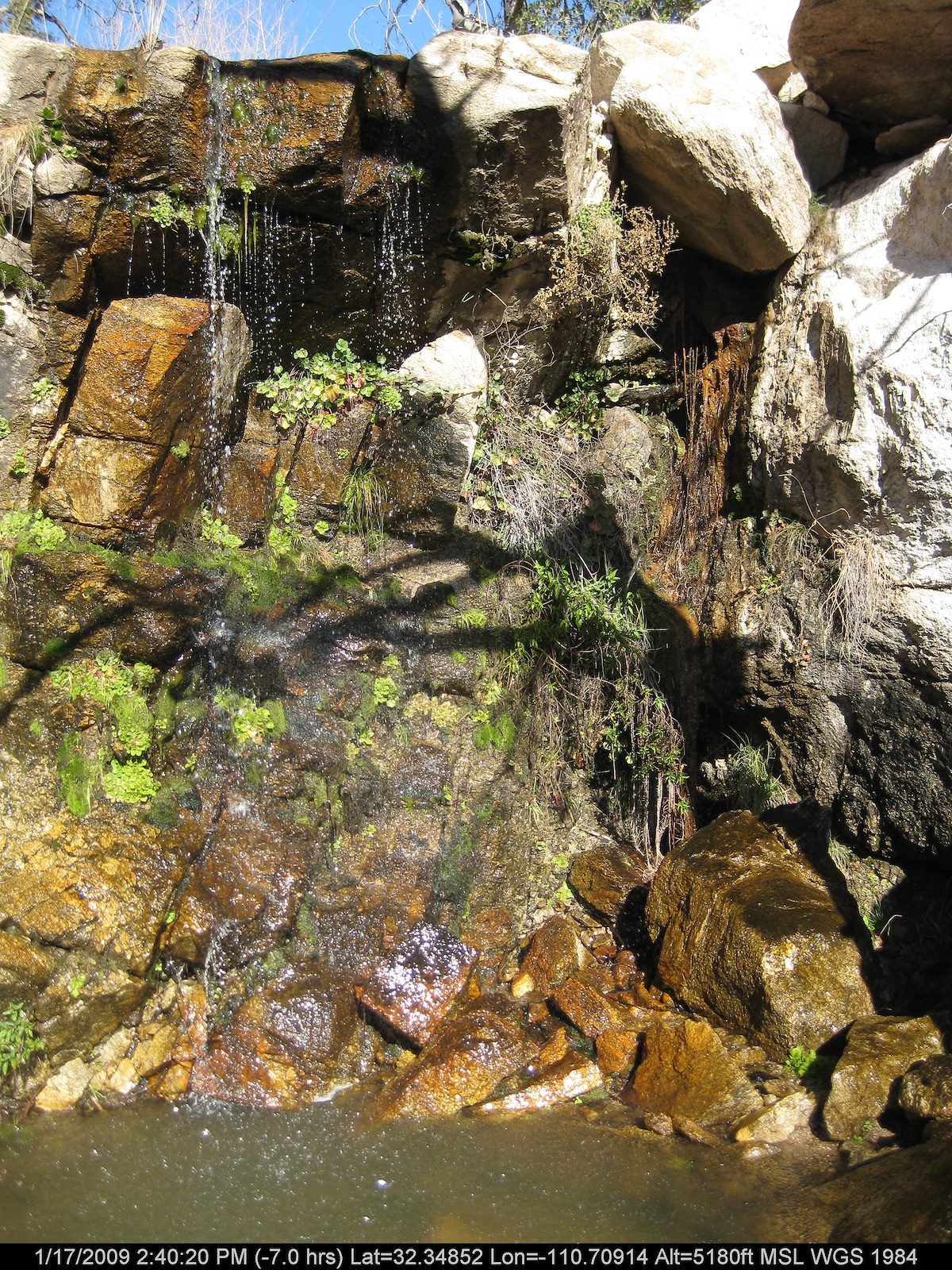 2009 January Falls below Bug Spring