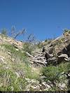 2009 May Hiking down a faint drainage