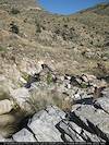 2009 May Looking towards Bear Canyon from a drainage to the West