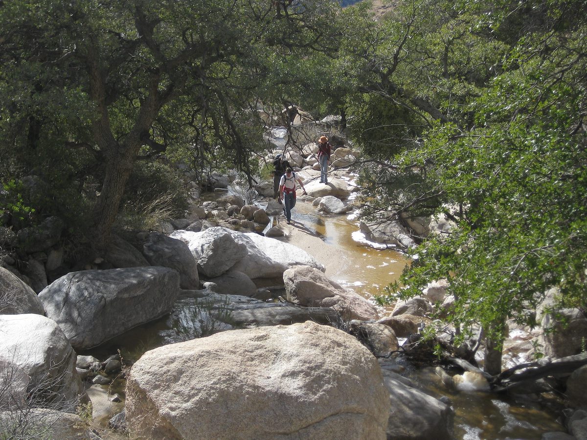 2010 January Canyon Friends Water Trees