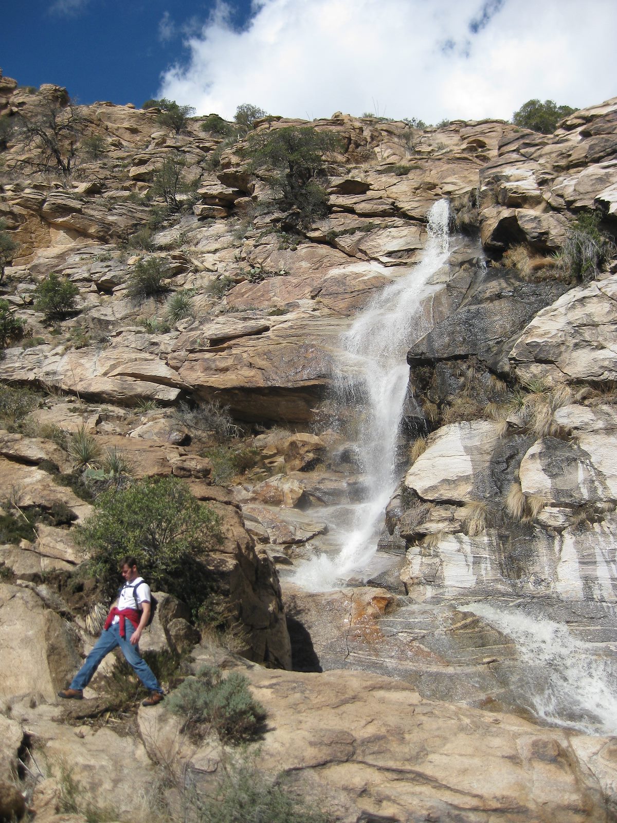 2010 January Ken in front of the Falls