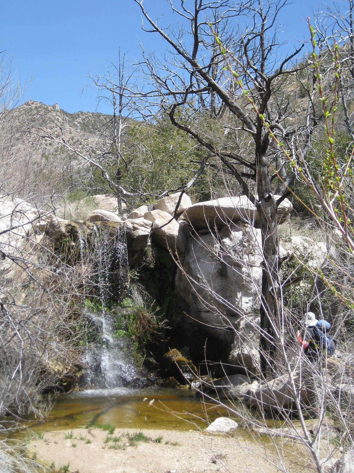 2010 March Falls below Bug Springs