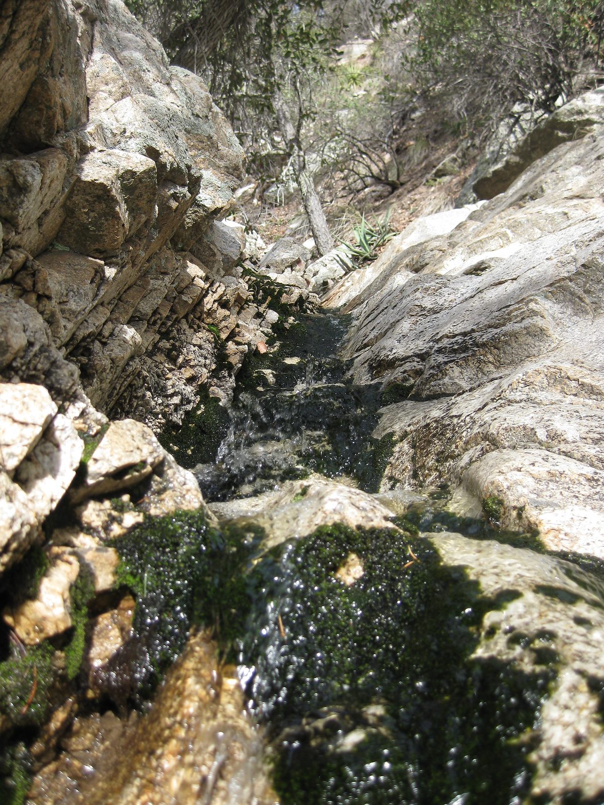 2010 March Upcanyon beyond our hike