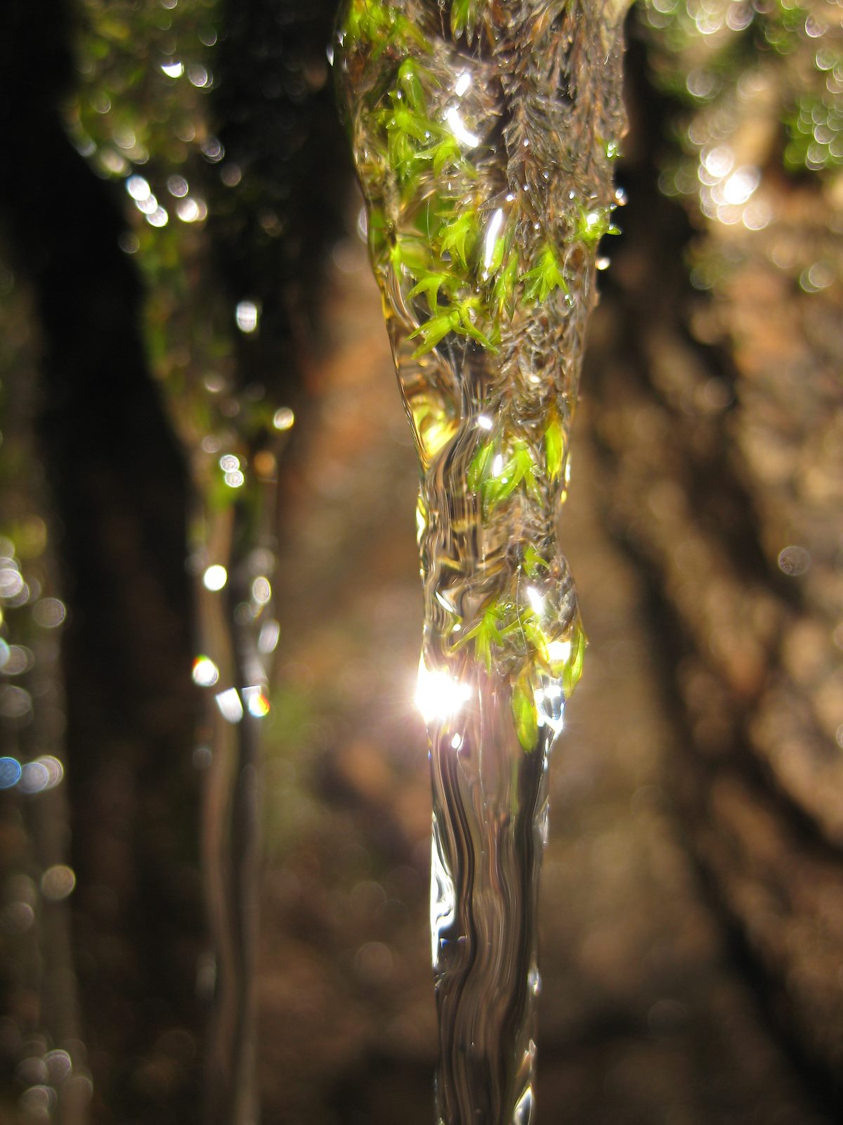 2010 March Water coming over small falls above Bug Springs