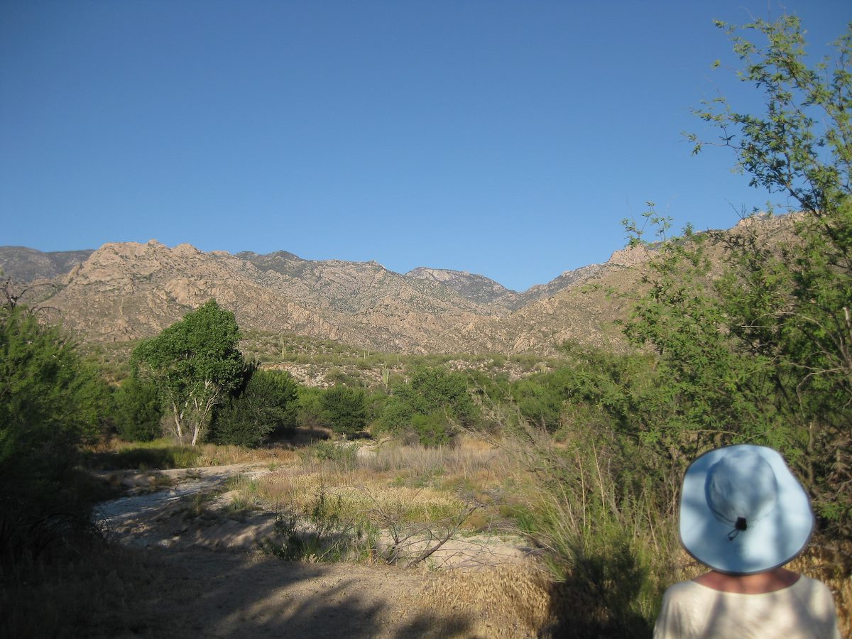 2010 May Enjoying the Wildlife and Views in Catalina State Park