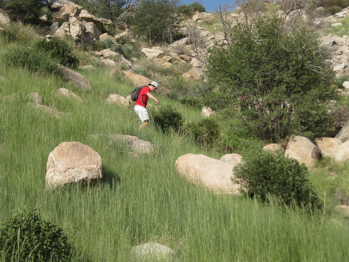 2011 August Hillside below the Highway
