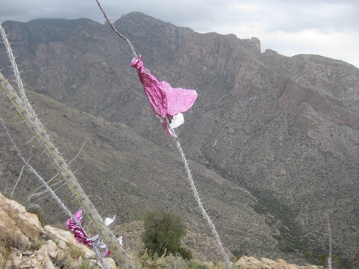 2011 December Balloon Litter