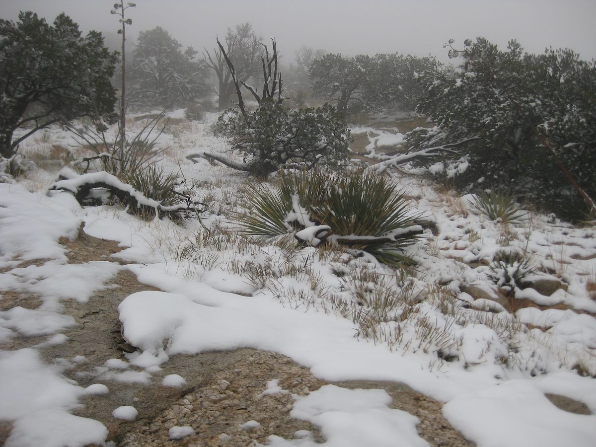2011 December Getting Closer to the top of Table Mountain