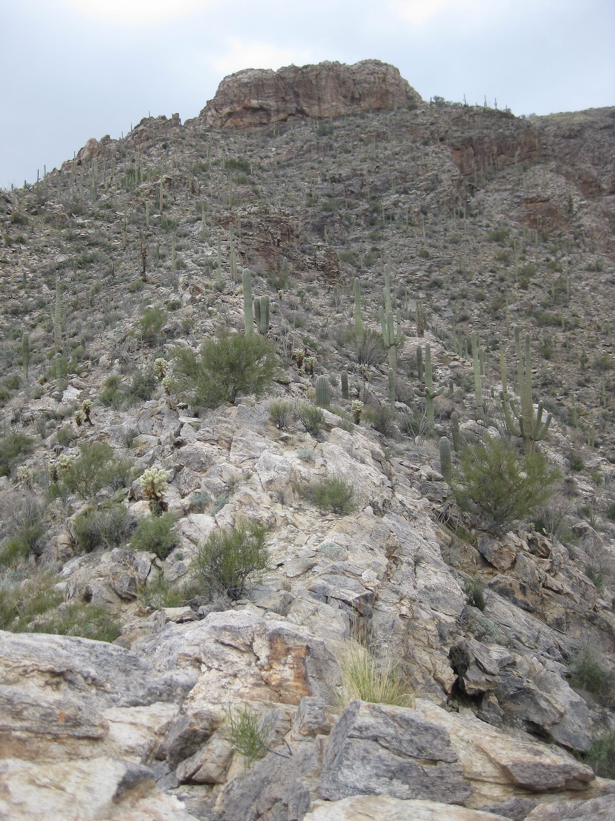 2011 December Headed up to the outcropping