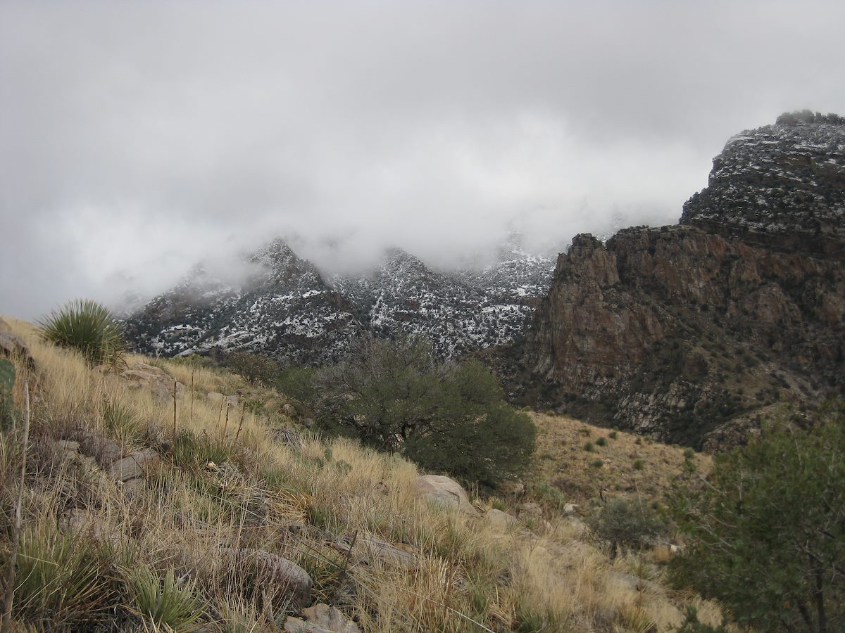 2011 December Snowy Cliffs, Grassy Hillside