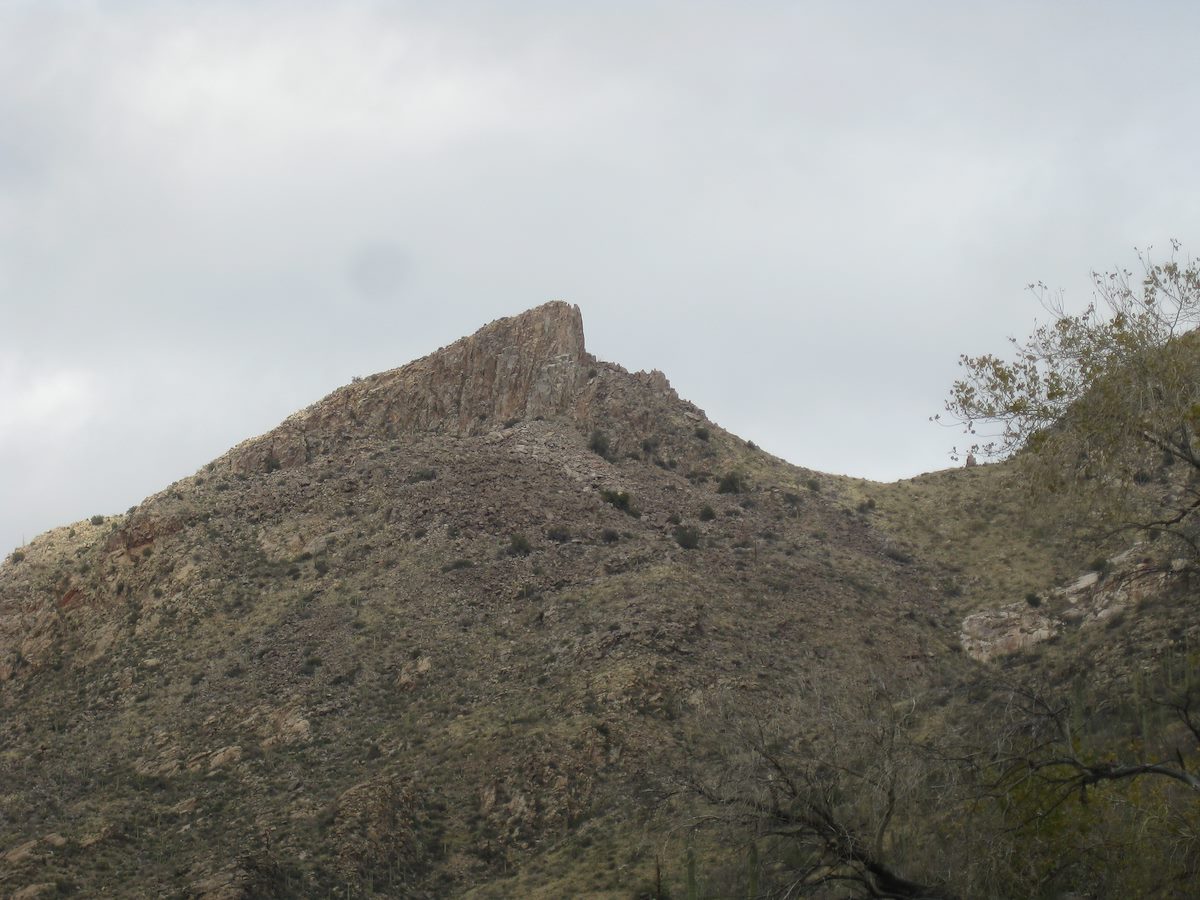 2011 December The Cleaver