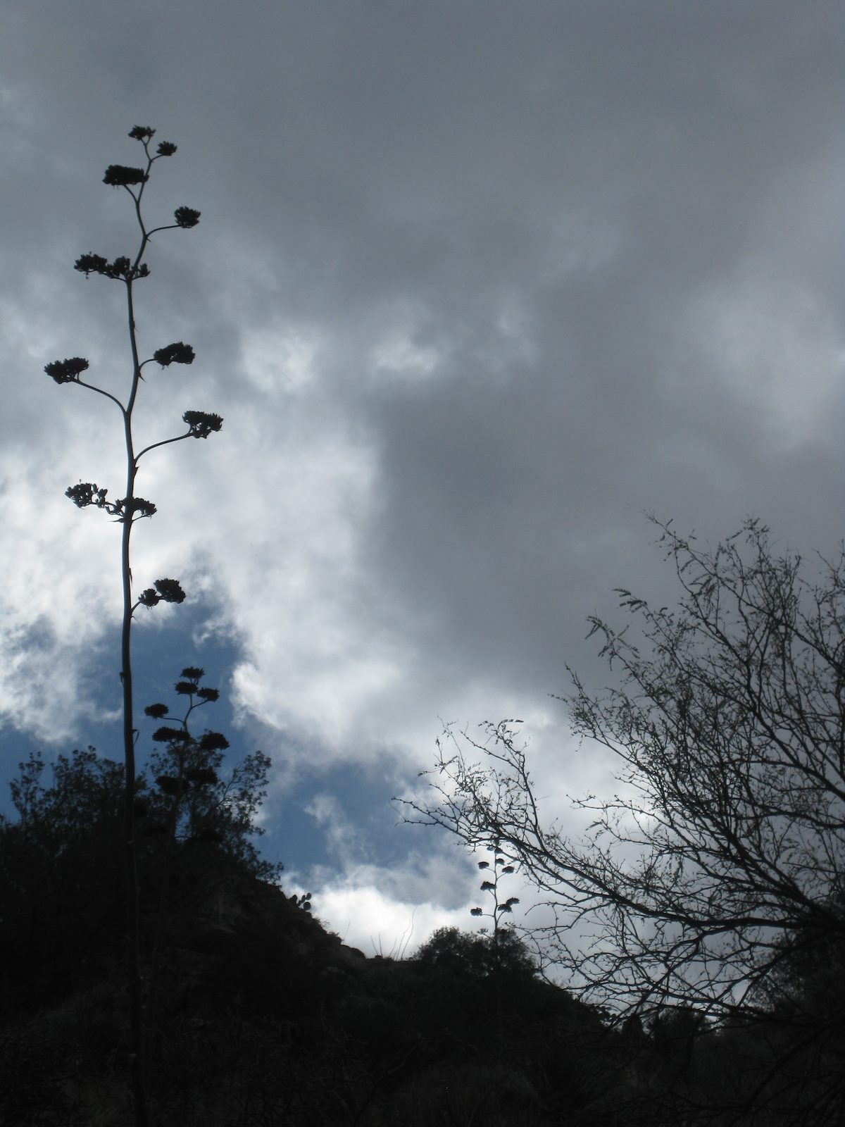 2011 February Cloudy Skies