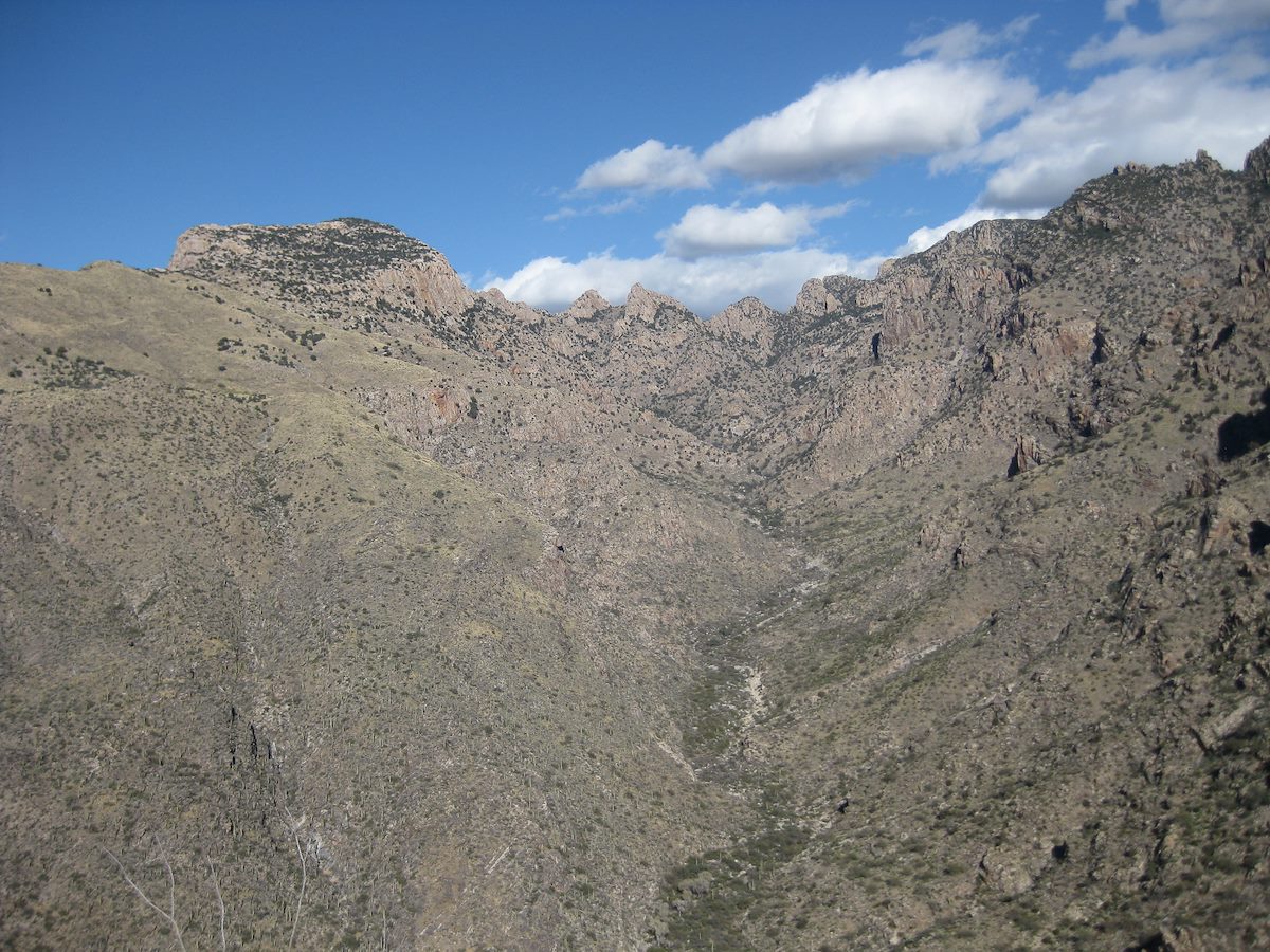 2011 February Pima Canyon