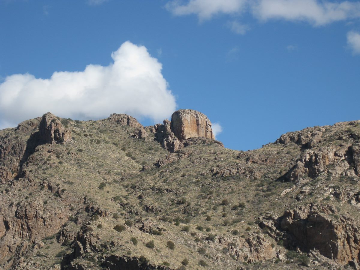 2011 February The Thumb