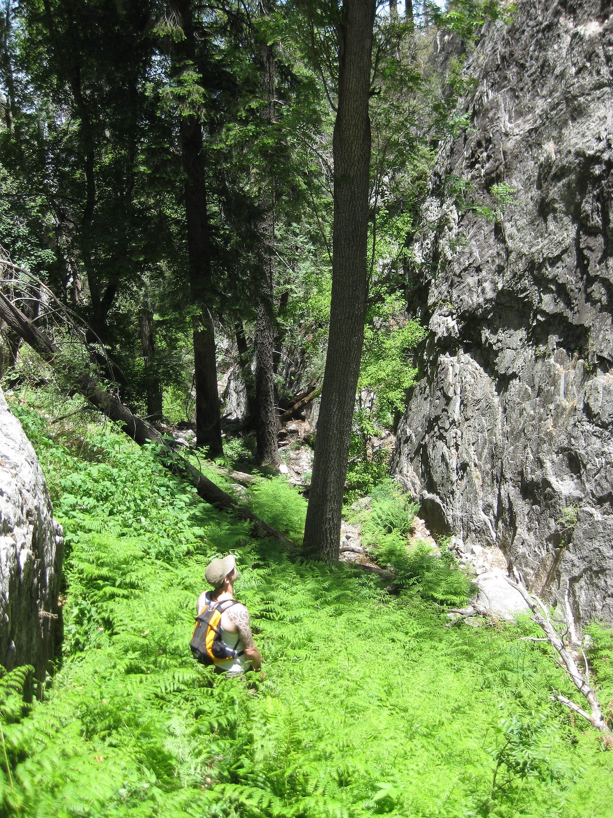 2011 May Dennis in Edgar Canyon