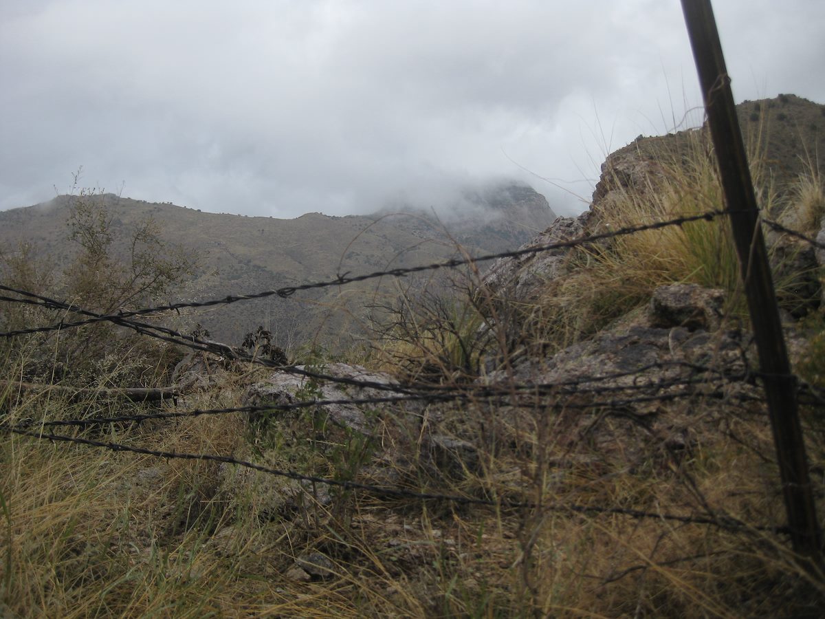 2011 November Barbed Wire and Table Mountain