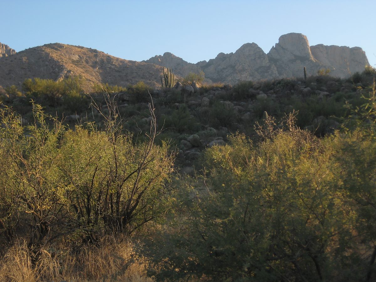 2011 November Buster Mountain on the left, Table Mountain on the right
