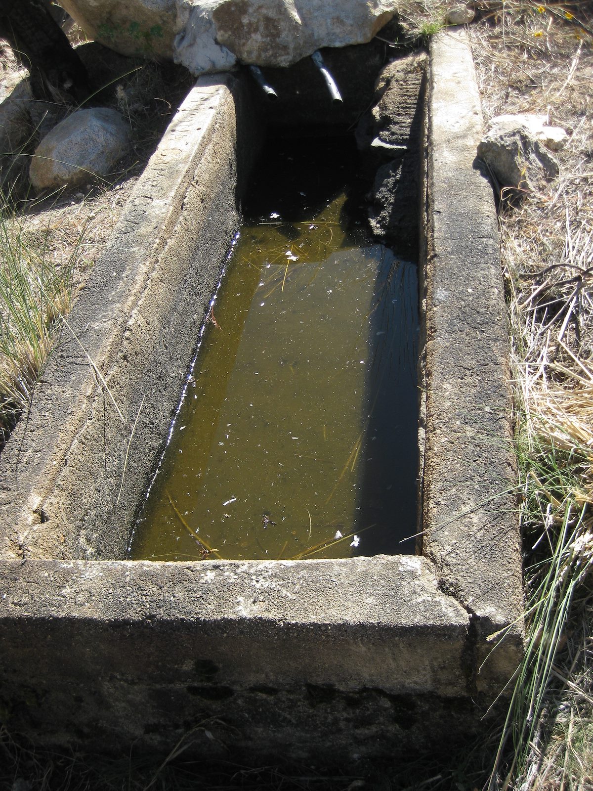 2011 November Buster Spring Tank