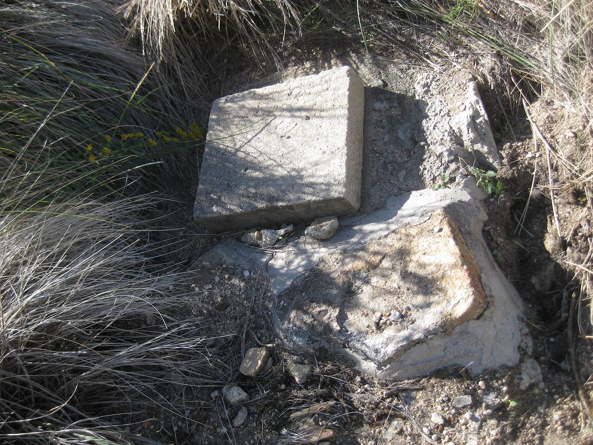 2011 November Buster Spring