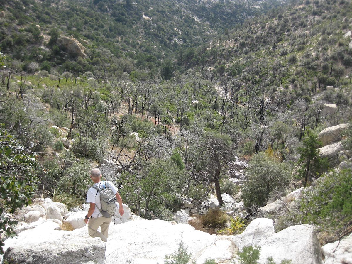 2011 November Clean Rock, Burnt Trees