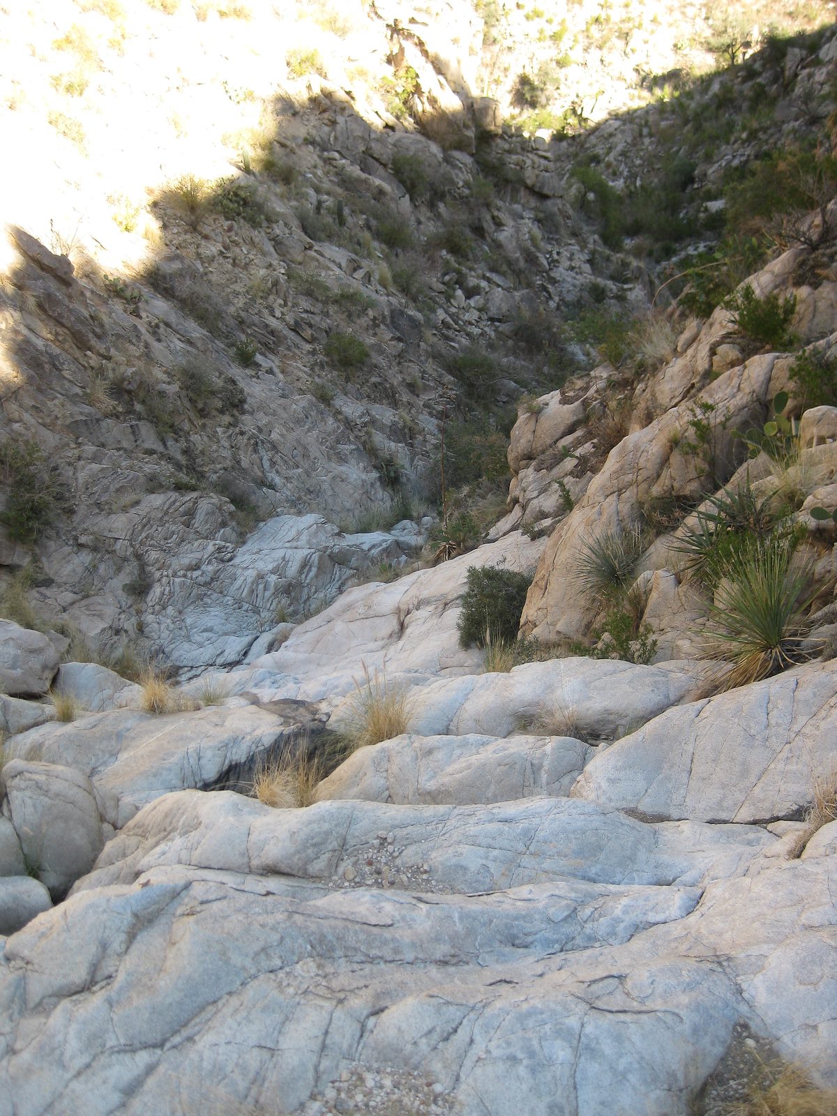 2011 November Cliffs in the canyon down to Montrose Canyon