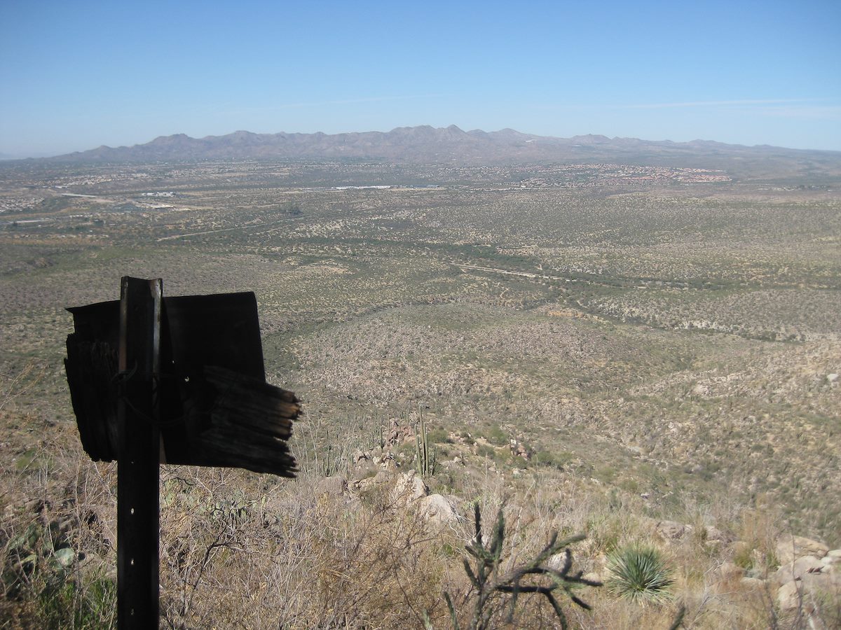 2011 November Looking back