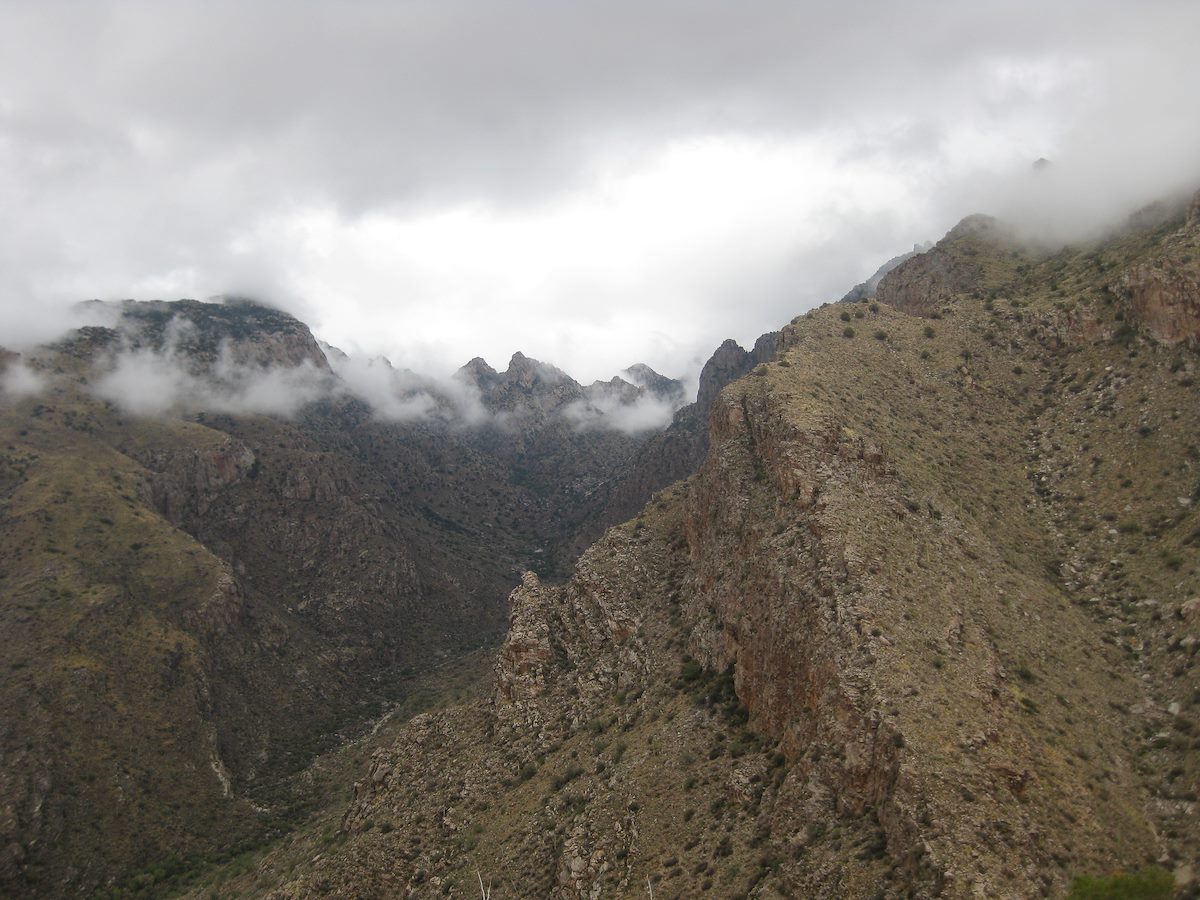 2011 November Looking up Pima Canyon