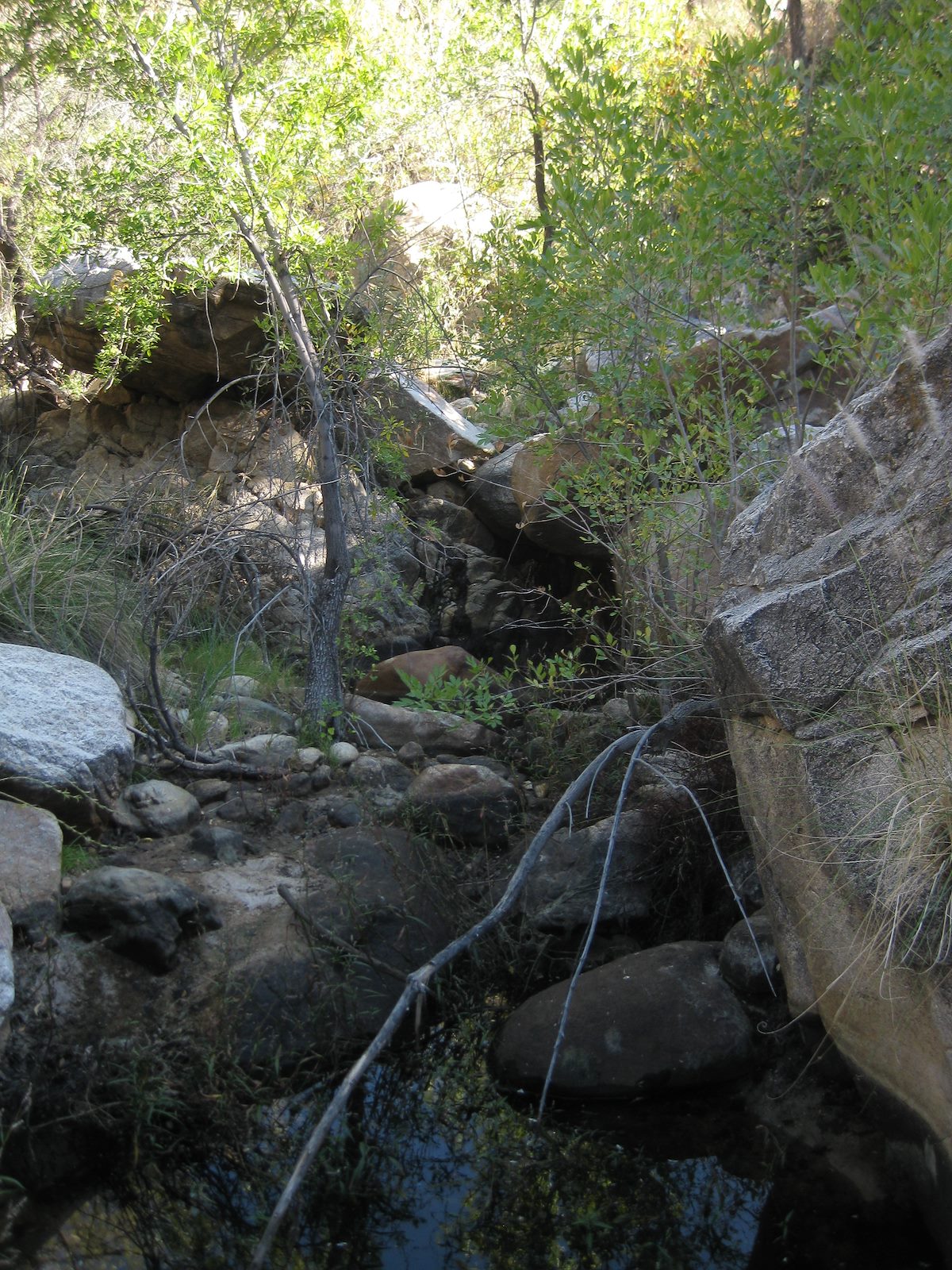 2011 November Montrose Canyon