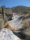 2011 November Off trail in a wash below Buster Mountain