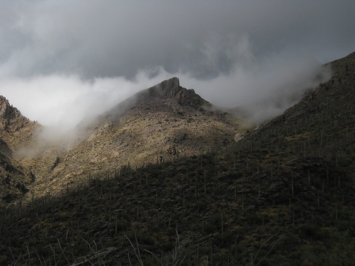 2011 November The Cleaver