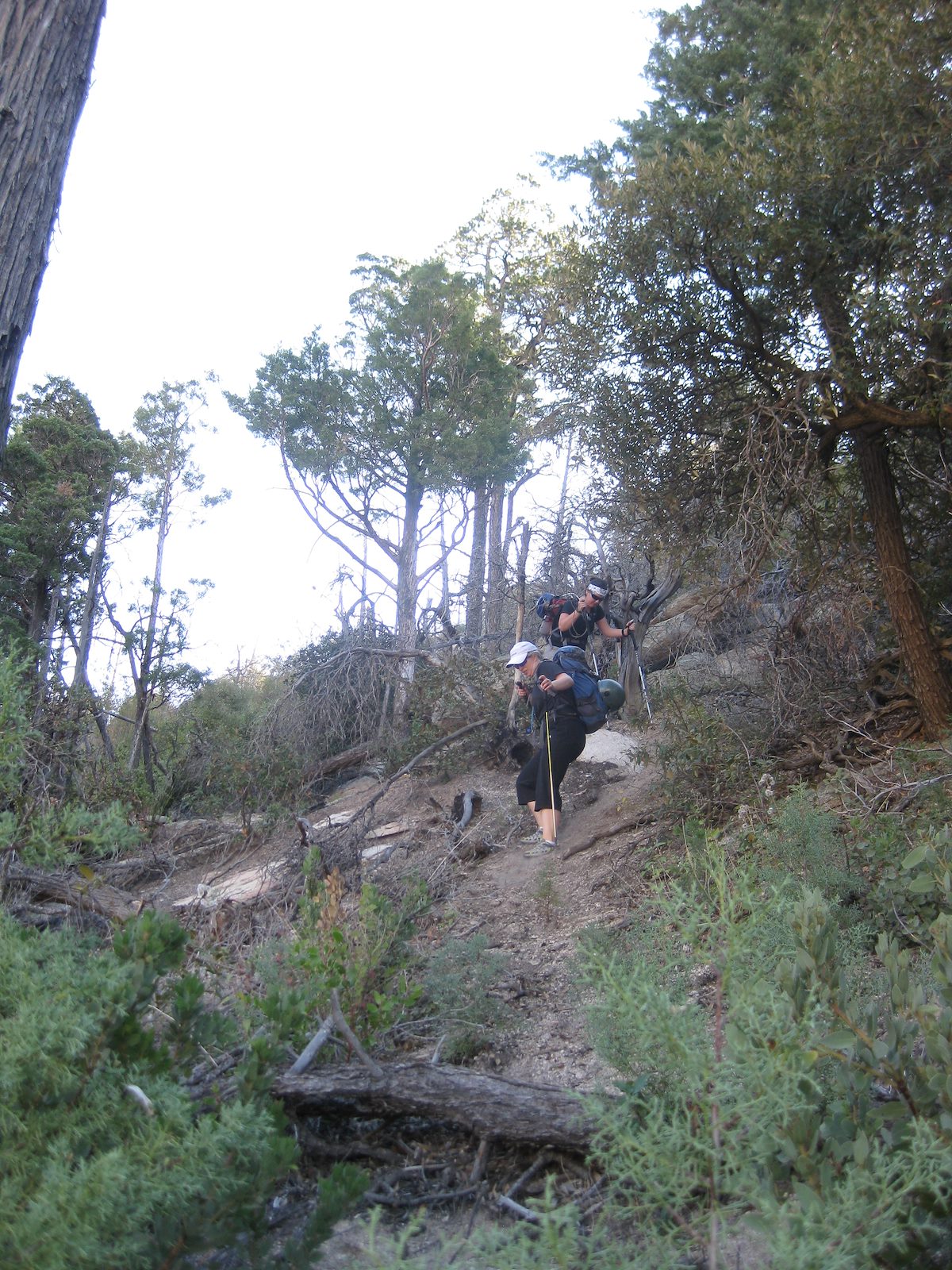 2011 October Hillside below Nancy's Thumb