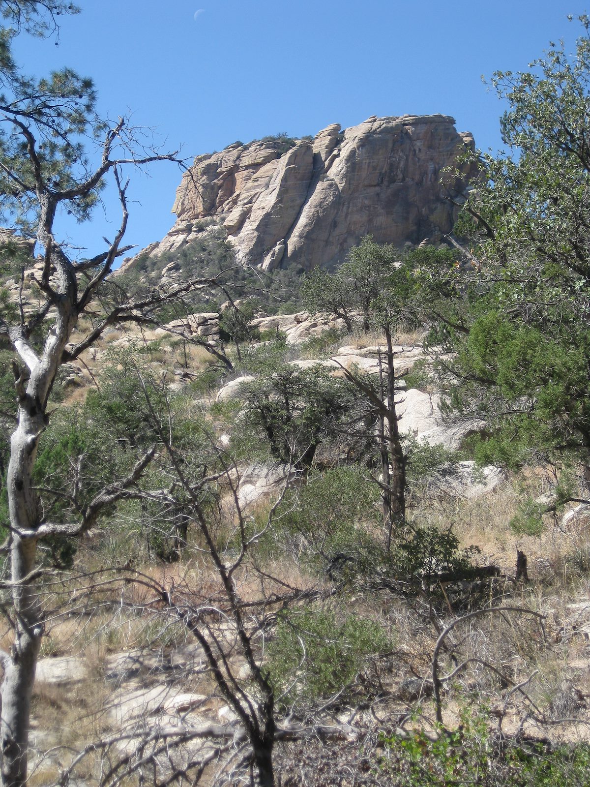 2011 October Looking up at Airmen Peak