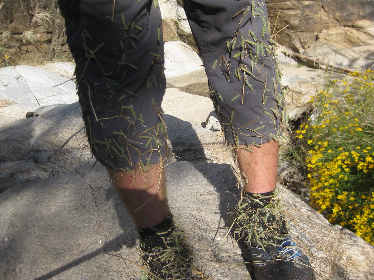 2011 October Off trail Decoration