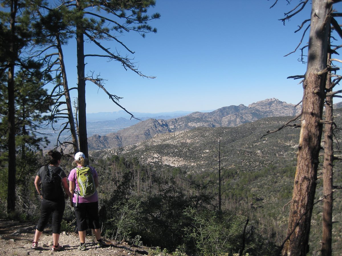 2011 October Palisade before the descent to Pine Canyon