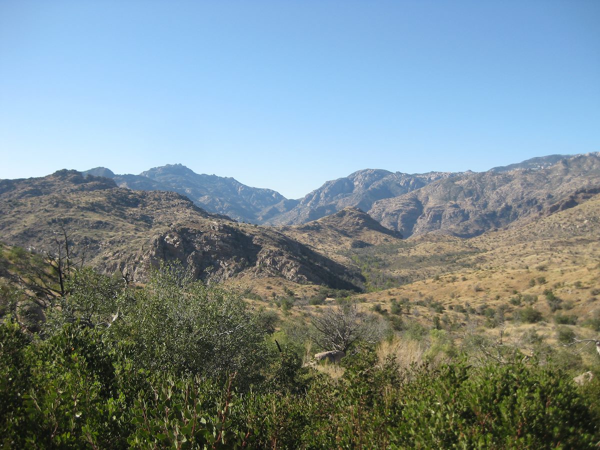 2011 October View coming up to the Arizona Trail Sign Saddle