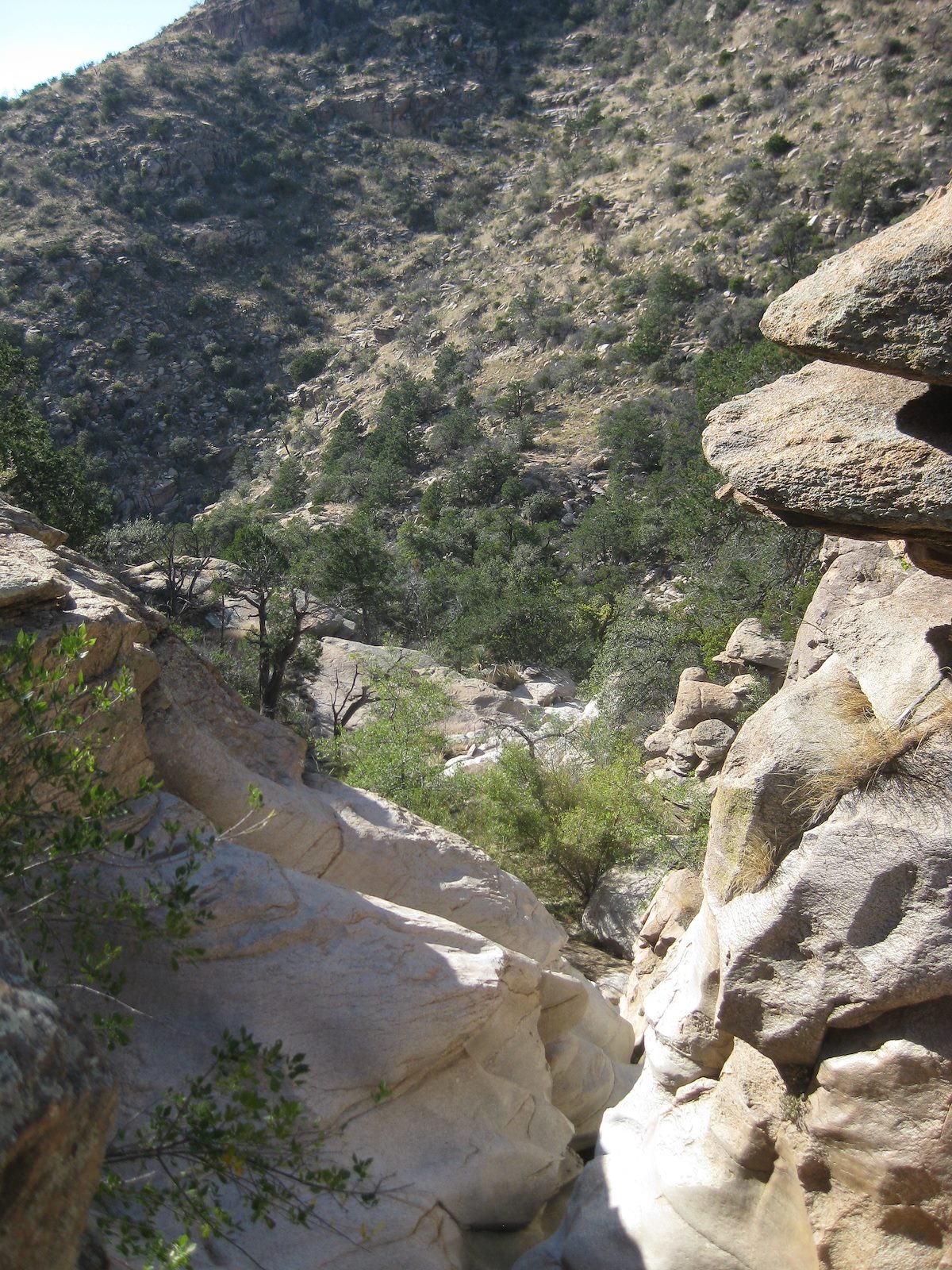 2011 October West Fork of Molino above carved spills and pool