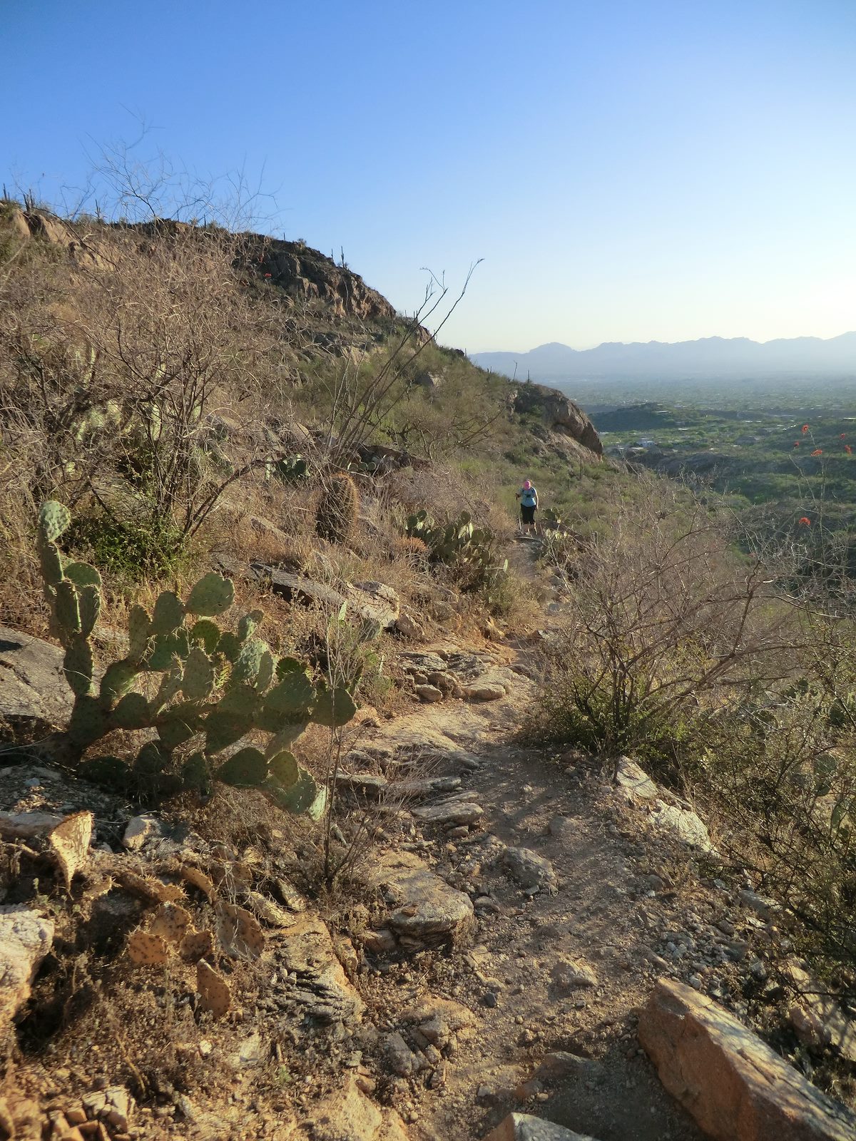 2012 April Alison on the Pontatoc Ridge Trail