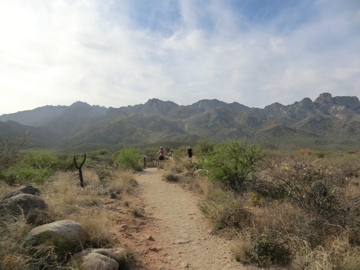 2012 April Catalina Trail Race Lap 2 - looking towards the Santa Catal