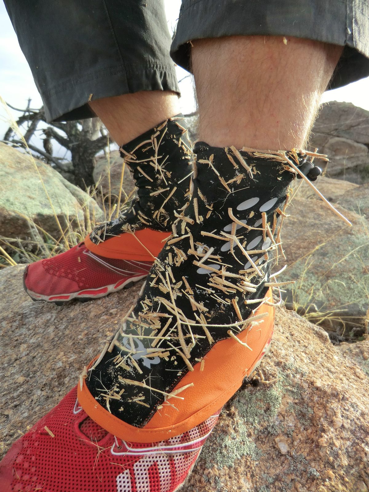 2012 April Classic Catalina Tubers