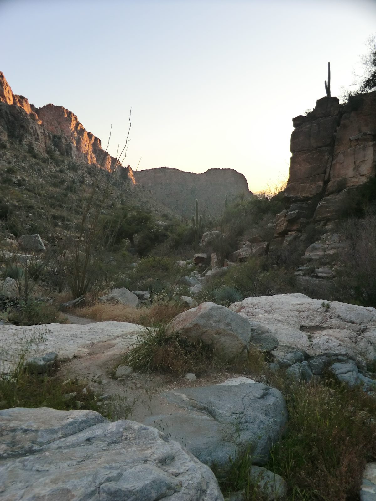 2012 April Looking down Pima Canyon towards Rosewood Point