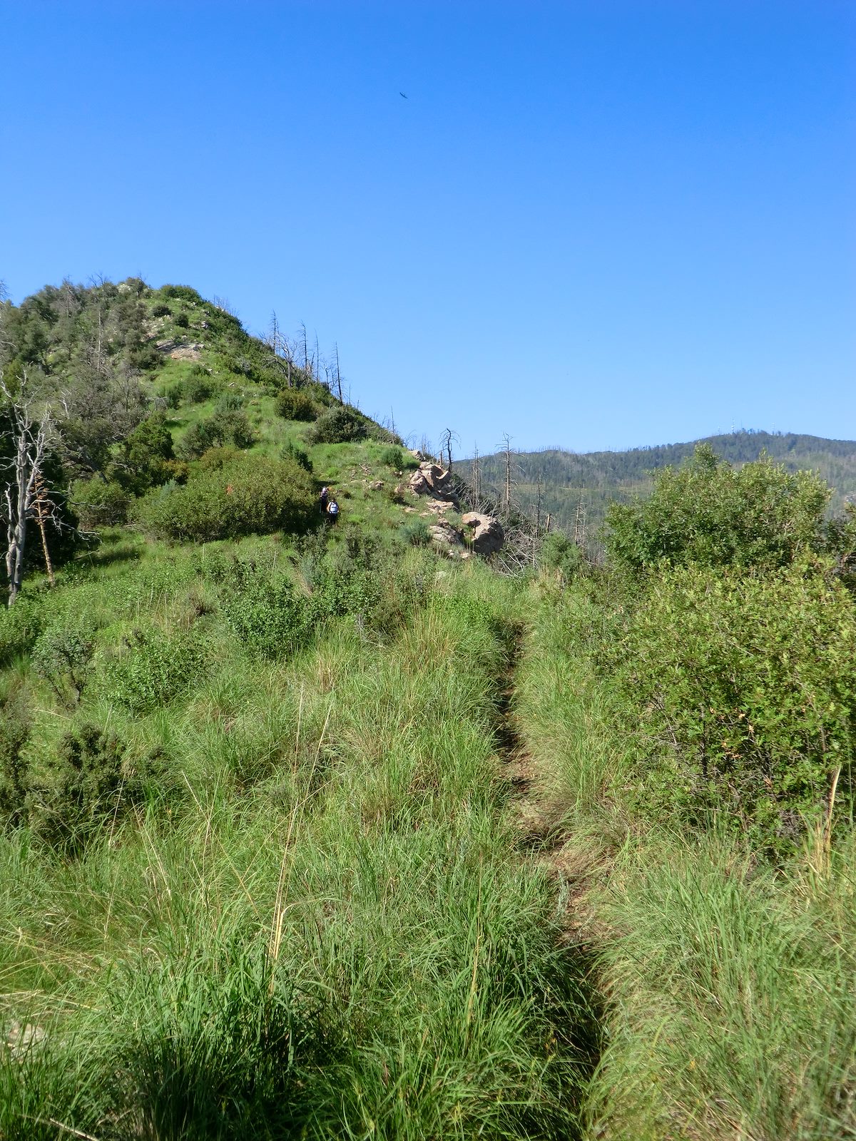 2012 August Alison and Traci coming down a grassy section of Oracle Rid