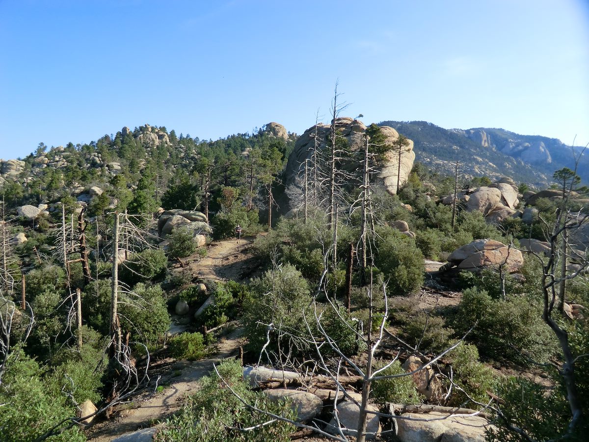2012 August Alison near the Lemmon and Wilderness of Rock Junction