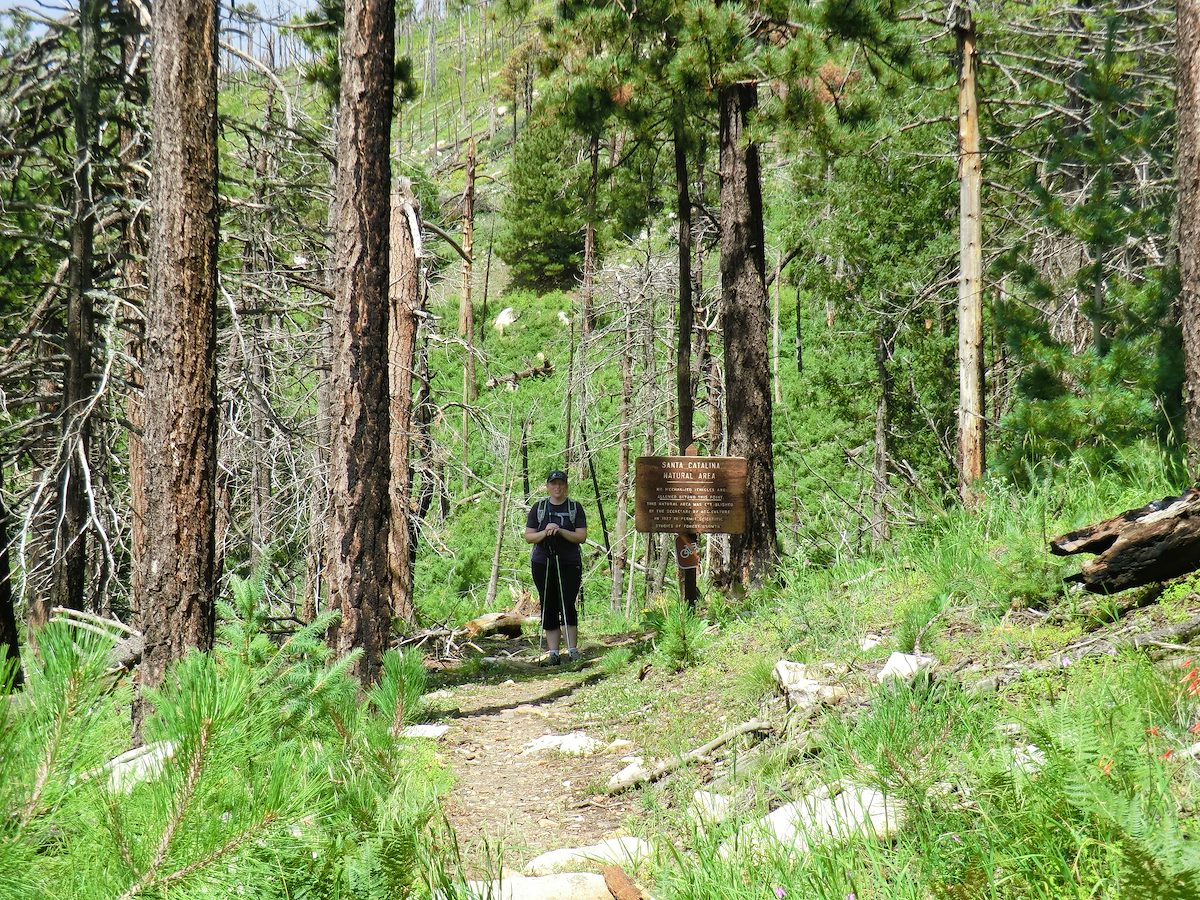 2012 August Alison Near the top of the Lemmon Rock Lookout Trail