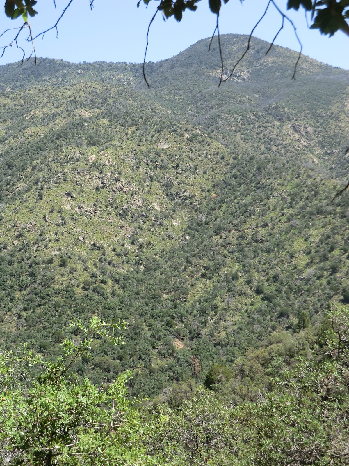 2012 August Looking back down on One Park Place