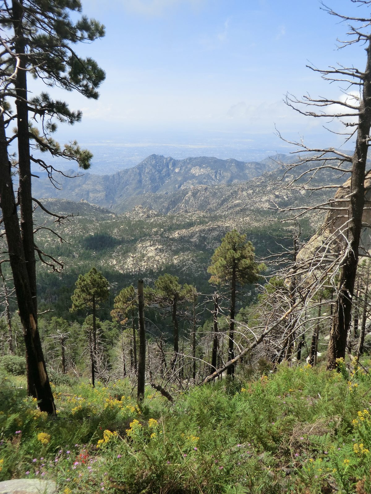 2012 August Looking out from the Lemmon Rock Lookout Trail