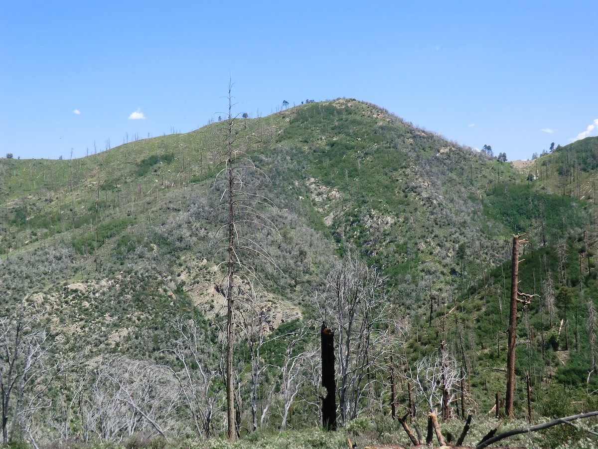 2012 August Looking over on Oracle Ridge and Trailhead from Red Ridge