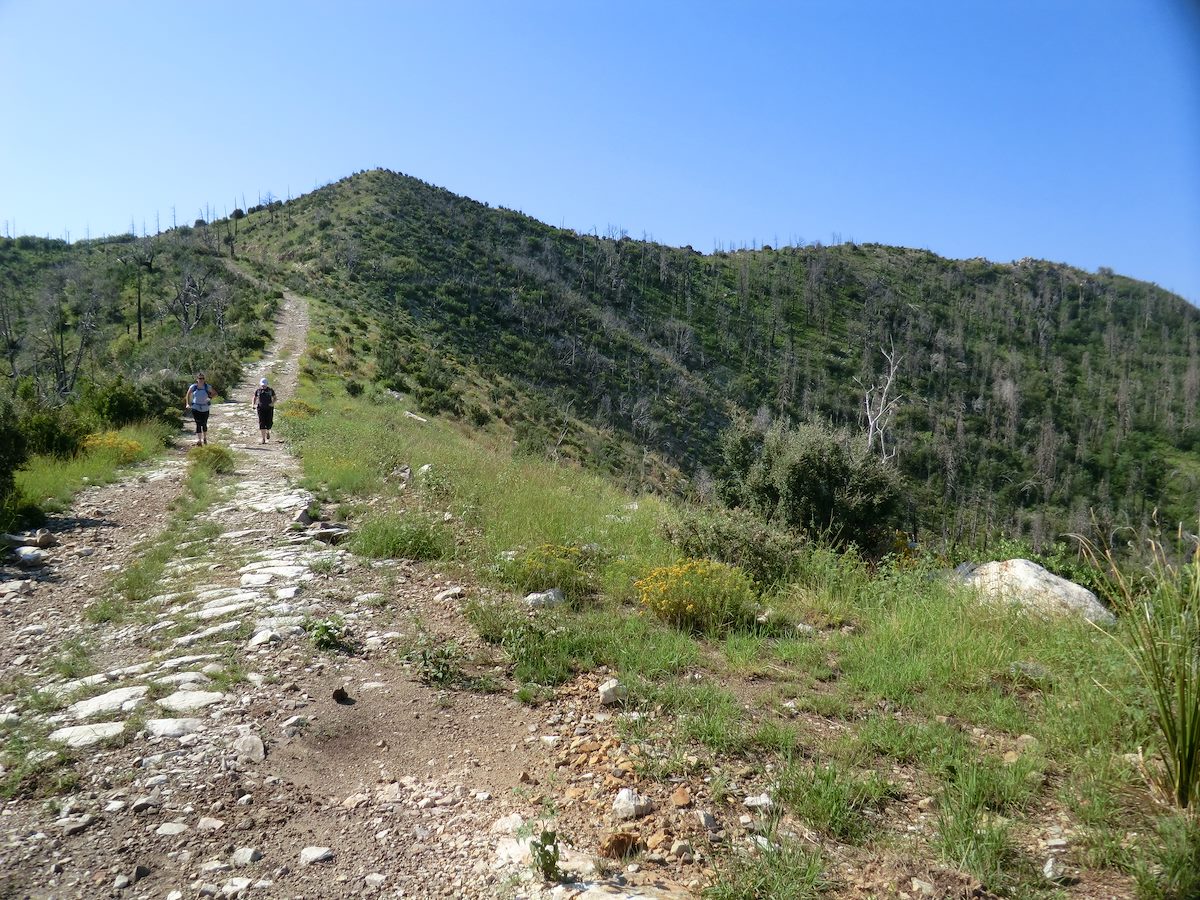2012 August Old Road Down to the Junction towards Catalina Camp