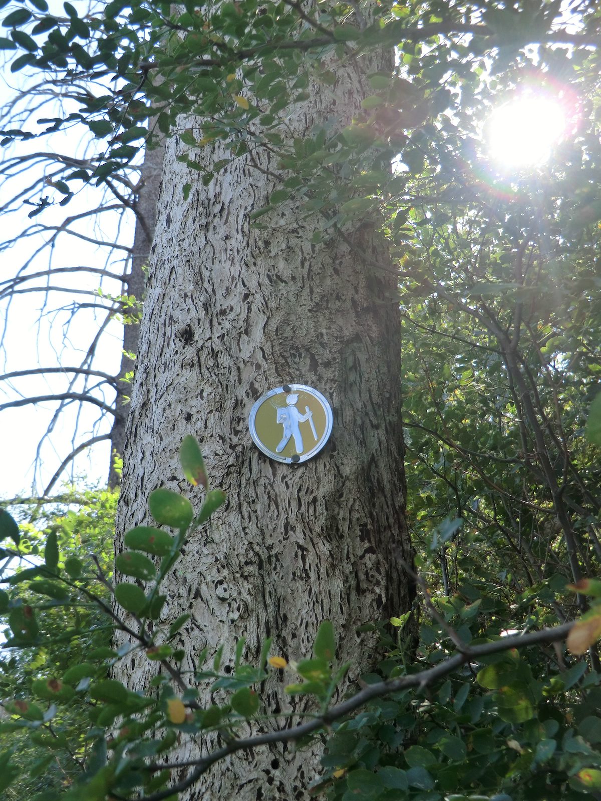 2012 August Old Sign